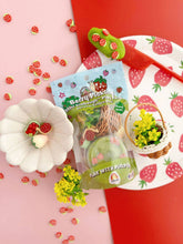 Load image into Gallery viewer, Berry Picking Mini Play Pack